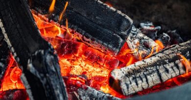 Wildnispädagogische Geschichtenabende