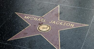 The Michael Jackson Experience - Live Tribute Show