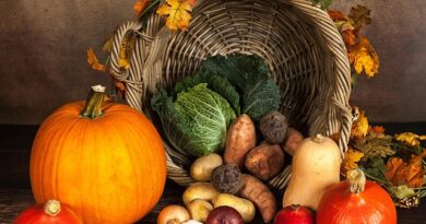 Slow Food Oktoberfest
