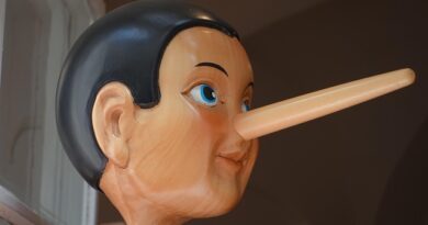 Pinocchio revisited