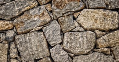 Und Wenn Die Mauer Bleibt? | Villa For Forest